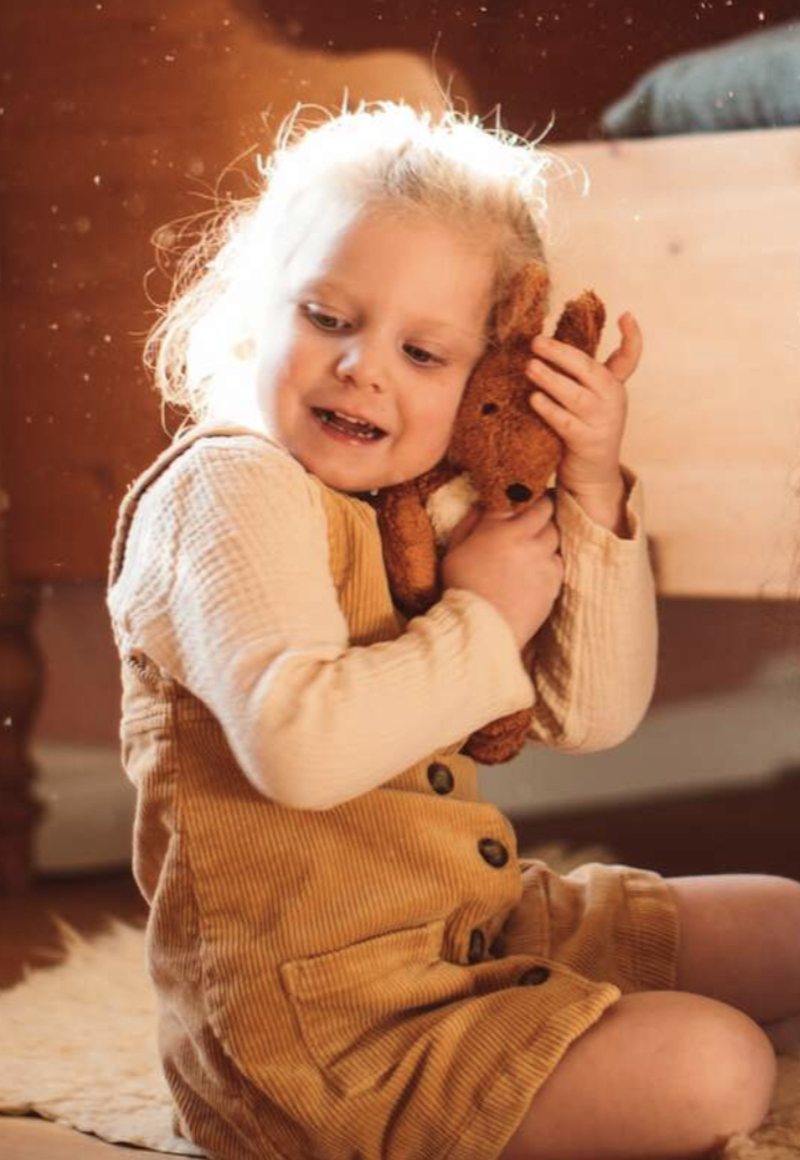 squirrel senger naturwelt