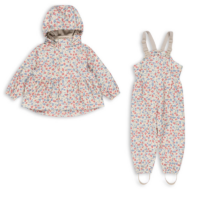 rainy palme regenset fiola