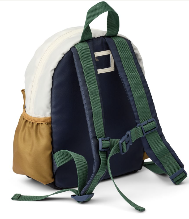 bear backpack andreas