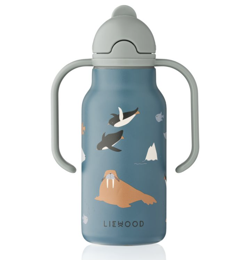 kimmie bottle arctic sea ocean view